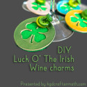 Luck O’ the Irish Wine Charms