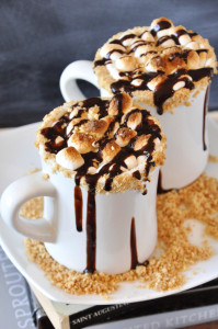 Smores-Hot-Cocoa-minimalistbaker.com_